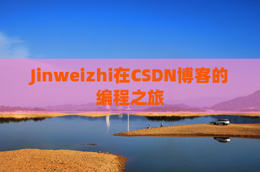 Jinweizhi在CSDN博客的编程之旅